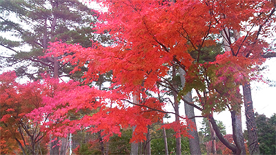 富士見町の秋探索