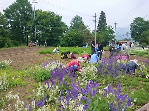 富士見高校養蜂部のミツバチ教室・ひまわり交流会の報告