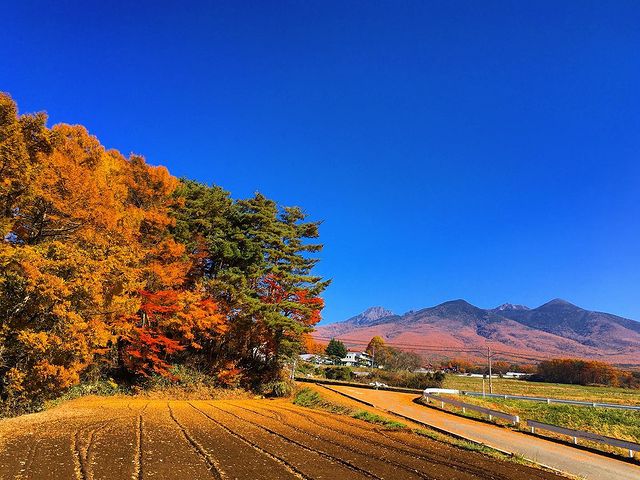 富士見町の紅葉を見逃すな！