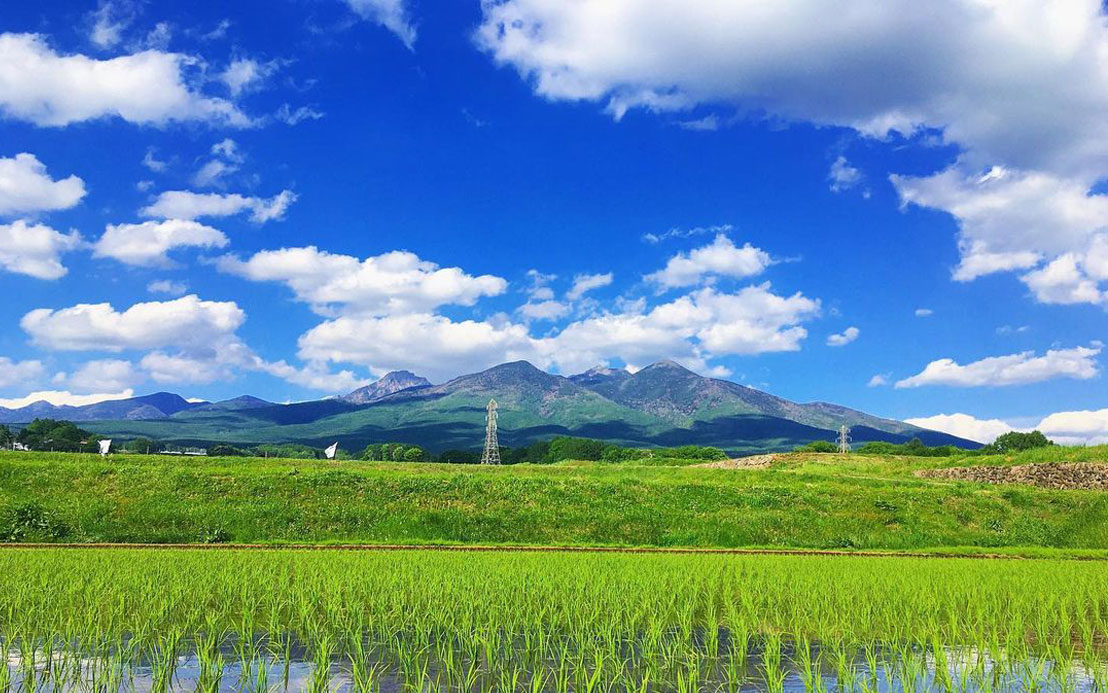 富士見町の農業を支えた "肝っ玉母ちゃんたち" の話