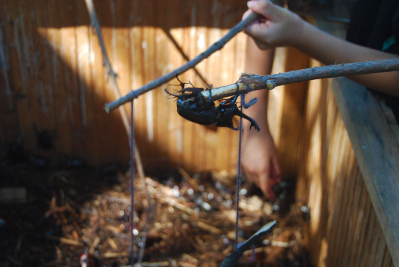 第42回 富士見OKKOH が開催されました（2025）