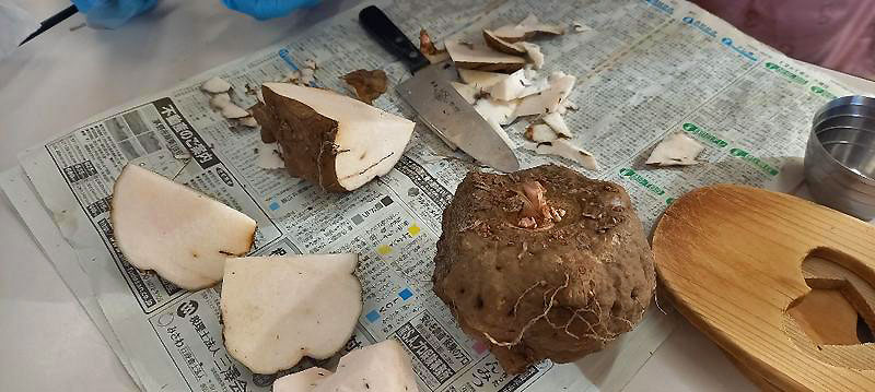 肝っ玉母ちゃんたちの「料理実習会」～こんやく作り～